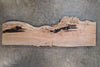 Big Leaf Maple Slab 042025-17