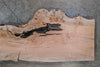 Big Leaf Maple Slab 042025-17