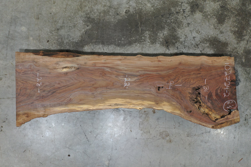 Oregon Black Walnut Slab 102724-02 MA