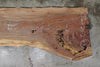 Oregon Black Walnut Slab 102724-02 MA