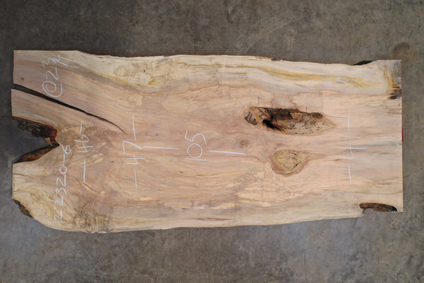 Big Leaf Maple Slab 122320-06