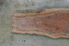 Oregon Black Walnut Slab 102724-04 MA