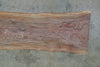 Oregon Black Walnut Slab 102724-05 MA