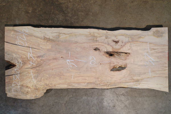 Big Leaf Maple Slab 122320-05