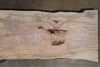 Big Leaf Maple Slab 122320-05