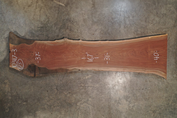 Oregon Black Walnut Slab 103117-3