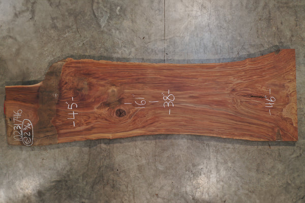 Oregon Black Walnut Slab 102317-16