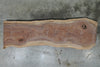 Oregon Black Walnut Slab 102724-01 MA