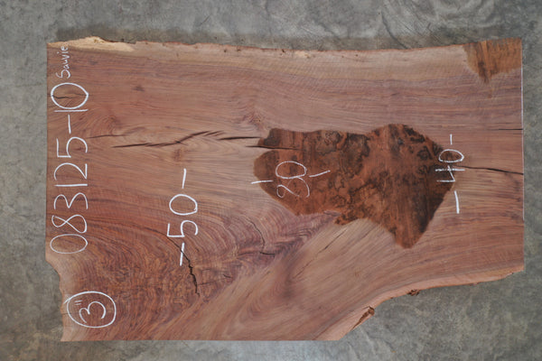 Oregon Black Walnut Slab 083125-10 Sauvie