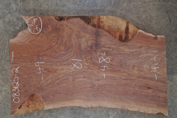 Oregon Black Walnut Slab 083125-02 Sauvie