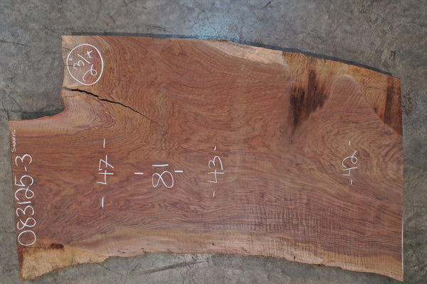 Oregon Black Walnut Slab 083125-03 Sauvie