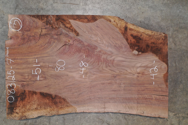 Oregon Black Walnut Slab 083125-07 Sauvie