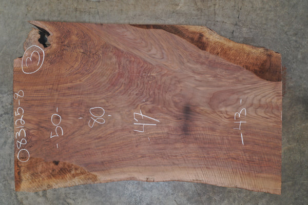 Oregon Black Walnut Slab 083125-08 Sauvie