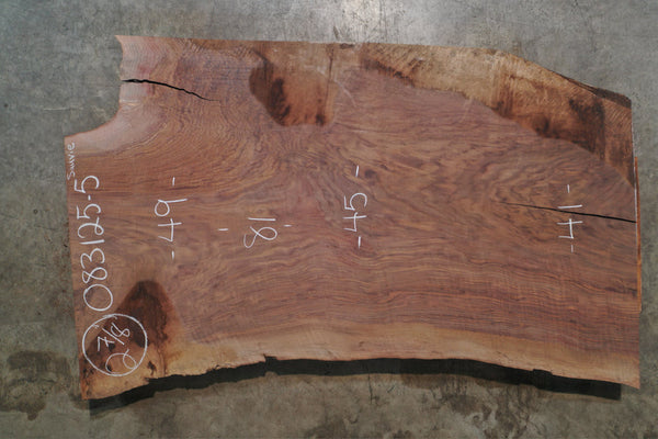 Oregon Black Walnut Slab 083125-05 Sauvie