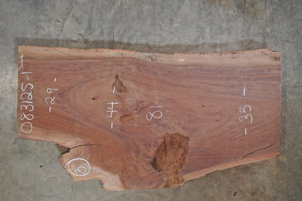 Oregon Black Walnut Slab 083125-01 Sauvie