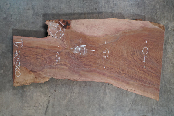 Oregon Black Walnut Slab 083125-09 Sauvie