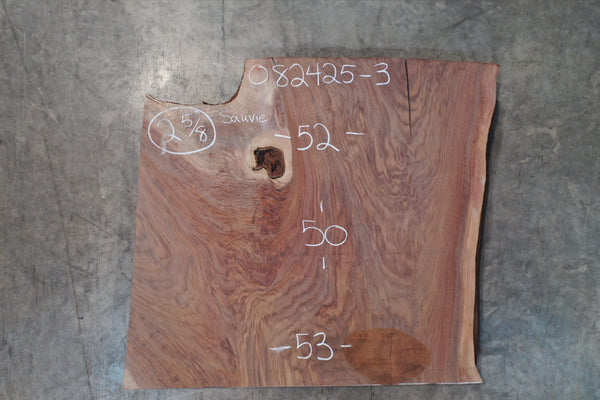 Oregon Black Walnut Slab 082425-03 Sauvie