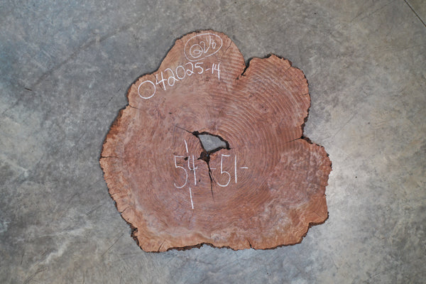 Oregon Black Walnut Burl Round 042025-14