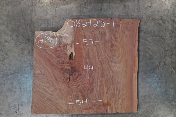 Oregon Black Walnut Slab 082425-01 Sauvie