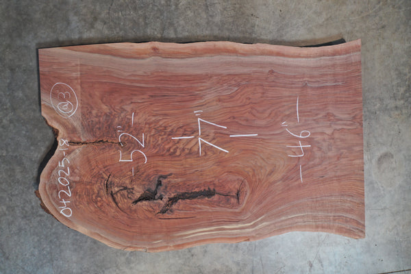 Oregon Black Walnut Slab 042025-18