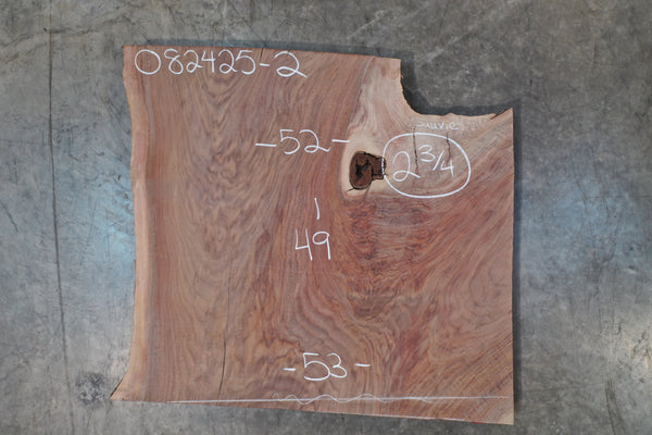 Oregon Black Walnut Slab 082425-02 Sauvie
