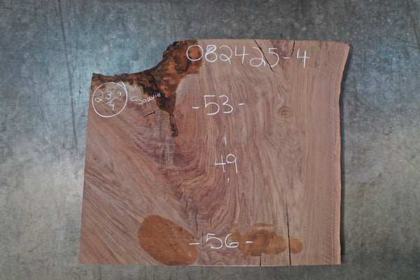 Oregon Black Walnut Slab 082425-04 Sauvie