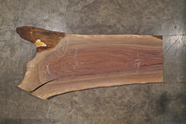 Oregon Black Walnut Slab 100424-15