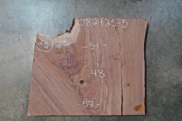 Oregon Black Walnut Slab 082425-05 Sauvie