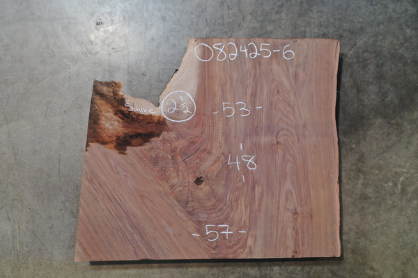 Oregon Black Walnut Slab 082425-06 Sauvie