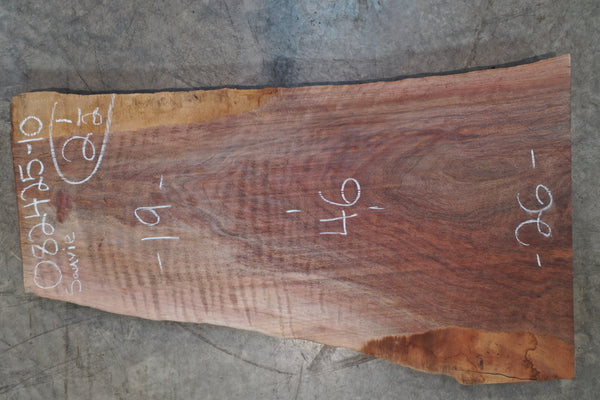 Oregon Black Walnut Slab 082425-10 Sauvie