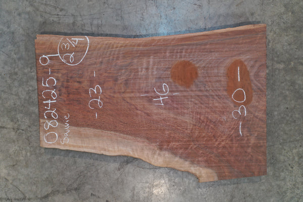 Oregon Black Walnut Slab 082425-09 Sauvie