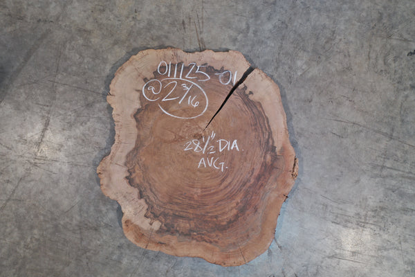 Oregon Black Walnut Burl Round 011125-01