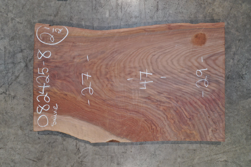 Oregon Black Walnut Slab 082425-08 Sauvie