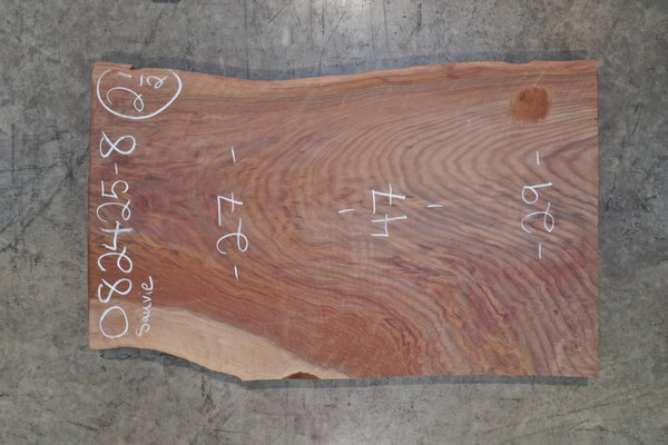 Oregon Black Walnut Slab 082425-08 Sauvie