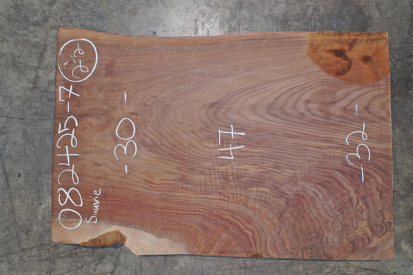 Oregon Black Walnut Slab 082425-07 Sauvie