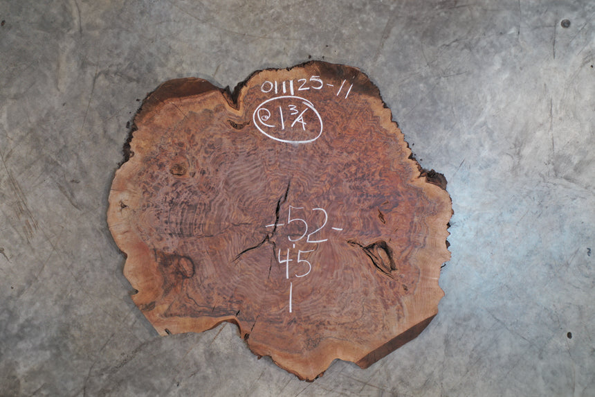 Oregon Black Walnut Burl Round 011125-11