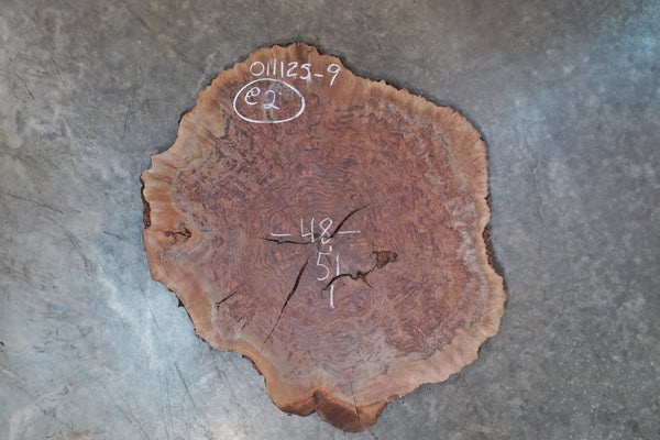 Oregon Black Walnut Burl Round 011125-09