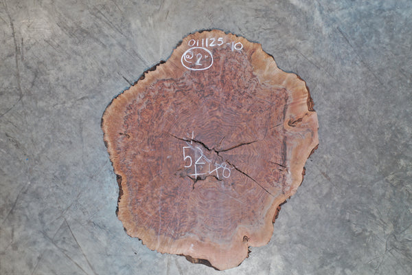 Oregon Black Walnut Burl Round 011125-10