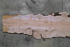 Big Leaf Maple Slab 102724-26 MA