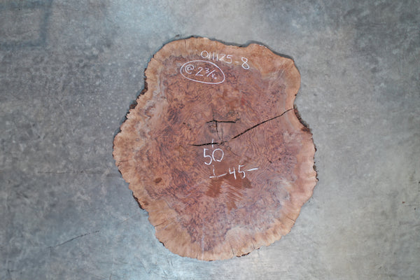Oregon Black Walnut Burl Round 011125-08