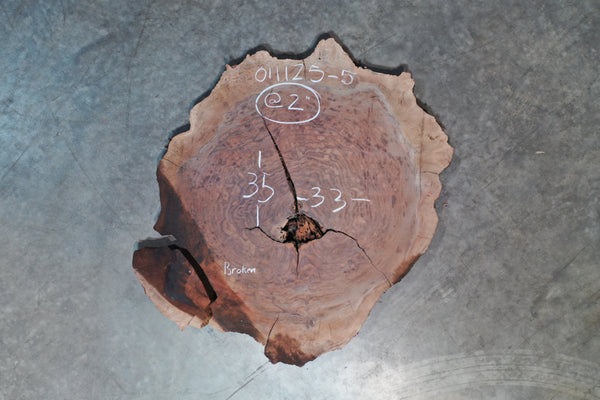 Oregon Black Walnut Burl Round 011125-05