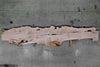 Big Leaf Maple Slab 102724-28 MA