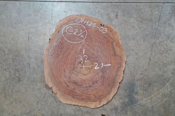 Oregon Black Walnut Burl Round 011125-03