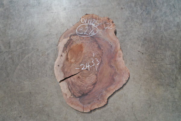 Oregon Black Walnut Burl Round 011125-02
