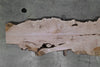 Big Leaf Maple Slab 102724-28 MA