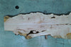 102724-28 MA Big Leaf Maple Slab