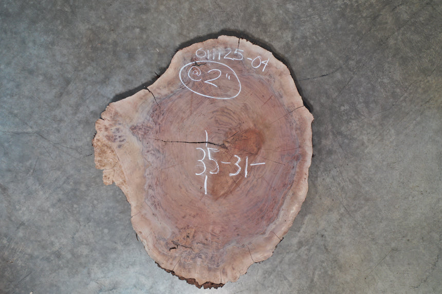 Oregon Black Walnut Burl Round 011125-04
