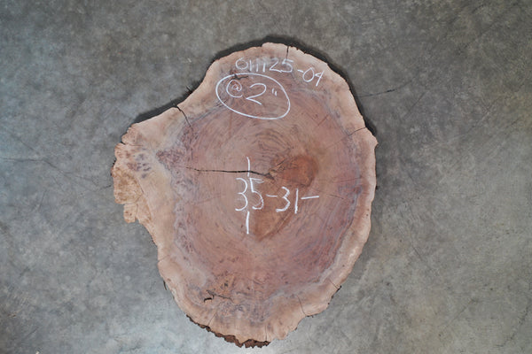 Oregon Black Walnut Burl Round 011125-04