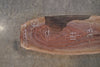 Oregon Black Walnut Slab 051222-02