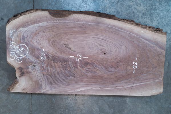 Oregon Black Walnut Slab 051124-09